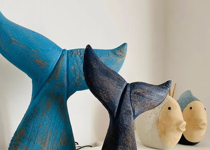 Relax * 维拉西米乌斯