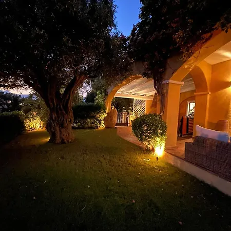 Relax * 维拉西米乌斯