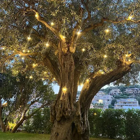 Relax בית נופש *