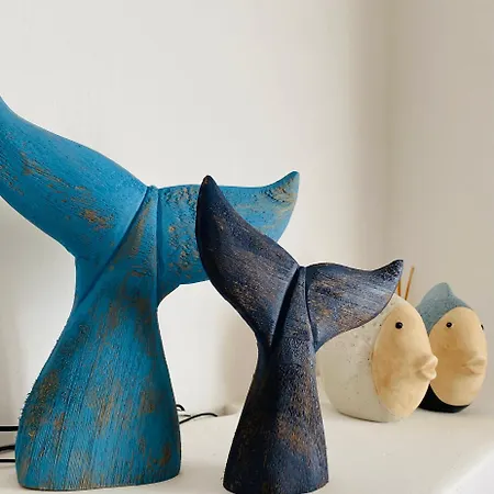 Relax * 维拉西米乌斯