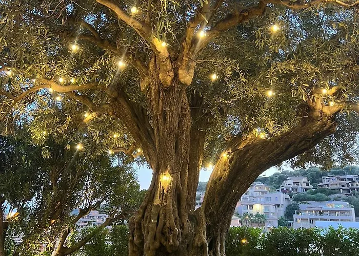 Relax Будинок відпочинку *